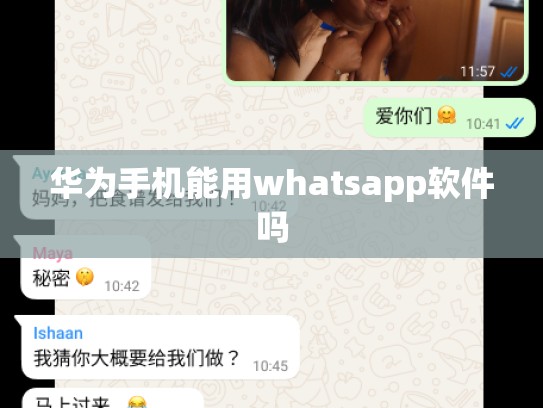 华为手机能用whatsapp软件吗