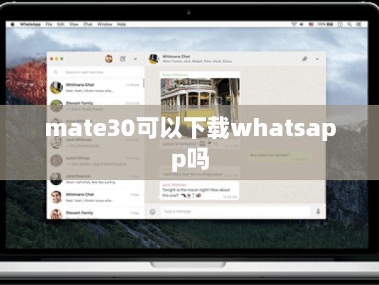 mate30可以下载whatsapp吗