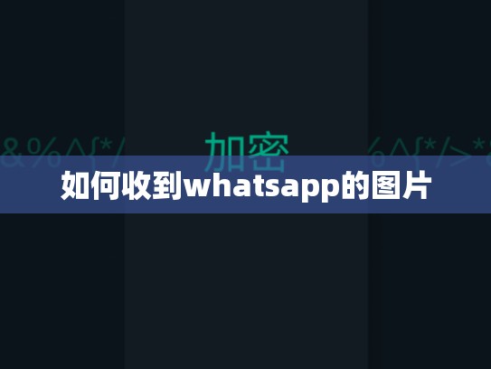 如何收到whatsapp的图片