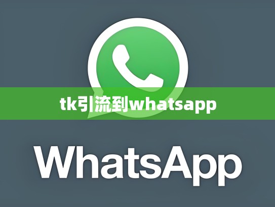 tk引流到whatsapp