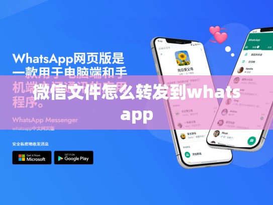 微信文件怎么转发到whatsapp