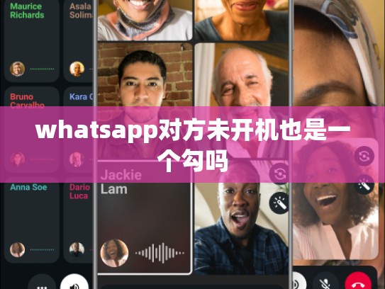 whatsapp对方未开机也是一个勾吗