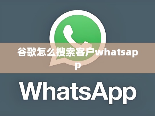 谷歌怎么搜索客户whatsapp