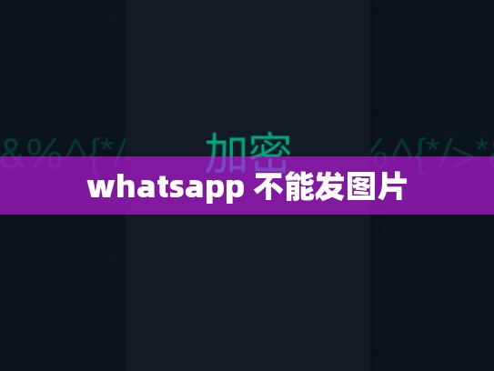 whatsapp 不能发图片