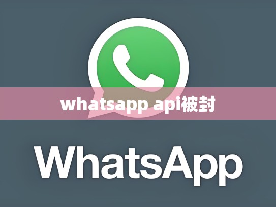 whatsapp api被封