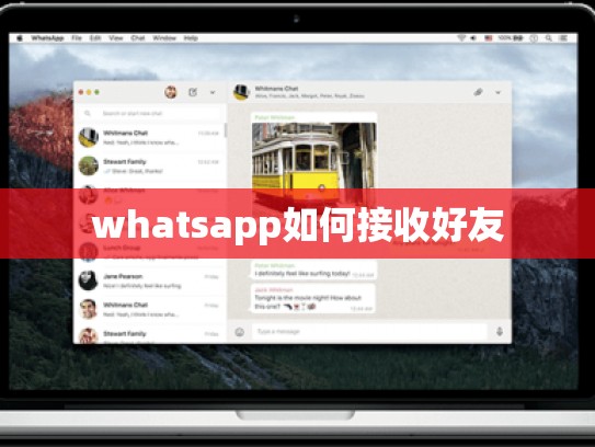 whatsapp如何接收好友
