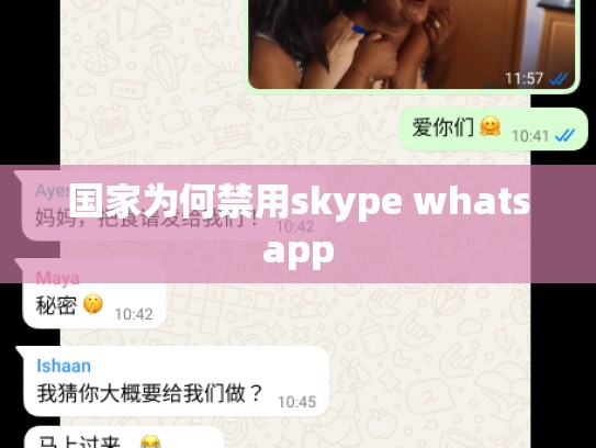 国家为何禁用skype whatsapp