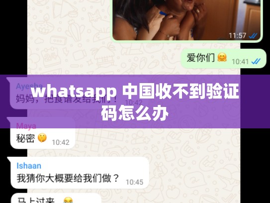 whatsapp 中国收不到验证码怎么办