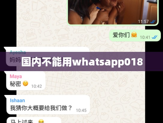 国内不能用whatsapp018