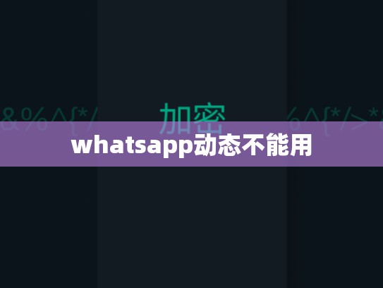 whatsapp动态不能用
