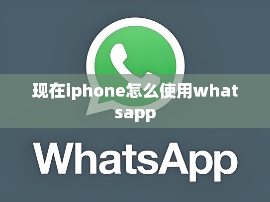 现在iphone怎么使用whatsapp