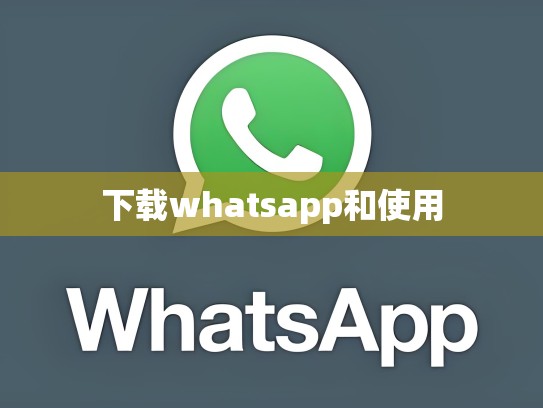 下载whatsapp和使用