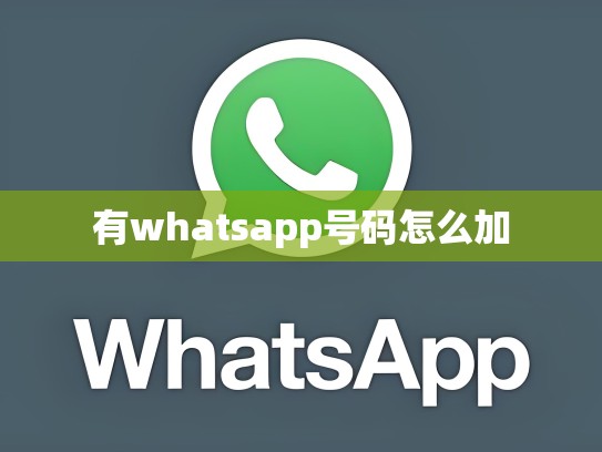 有whatsapp号码怎么加