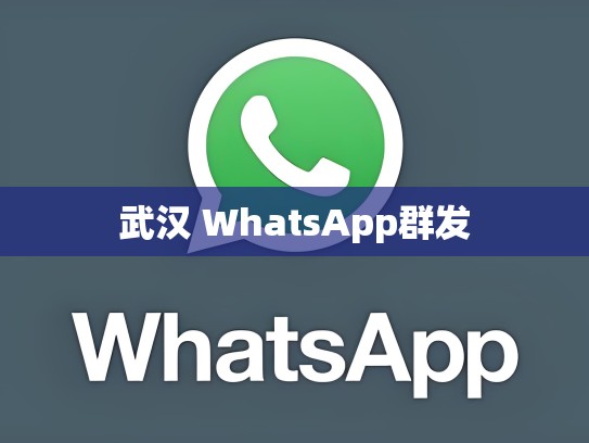 武汉 WhatsApp群发