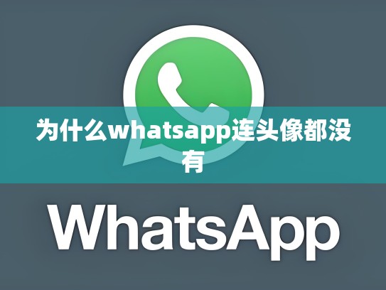 为什么whatsapp连头像都没有