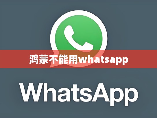 鸿蒙不能用whatsapp