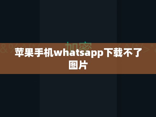 苹果手机whatsapp下载不了图片