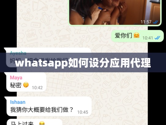 whatsapp如何设分应用代理