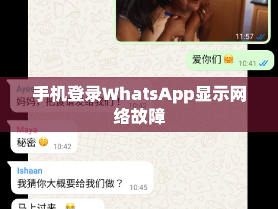 手机登录WhatsApp显示网络故障
