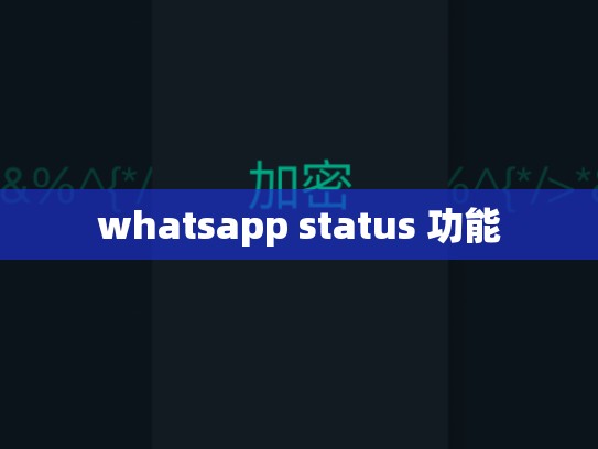 whatsapp status 功能