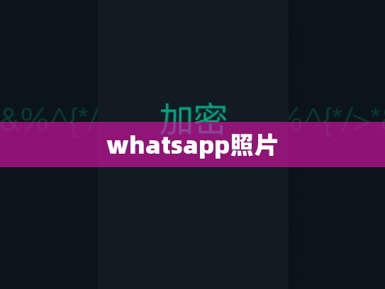whatsapp照片