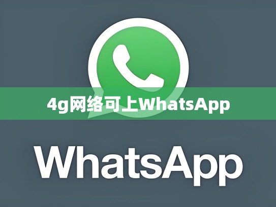 4g网络可上WhatsApp