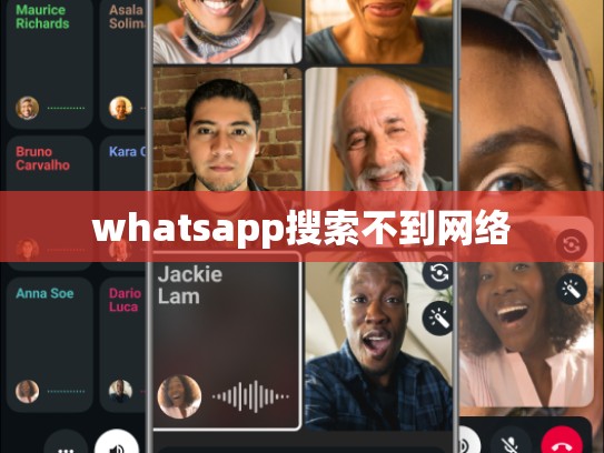 whatsapp搜索不到网络