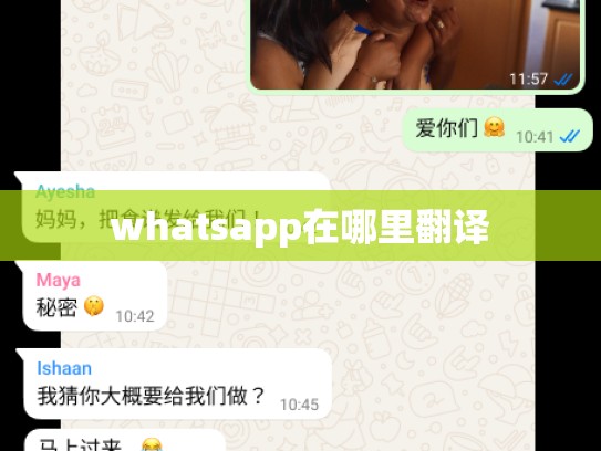 whatsapp在哪里翻译
