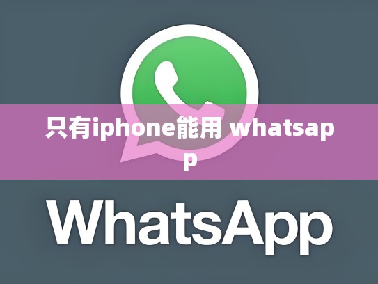 只有iphone能用 whatsapp