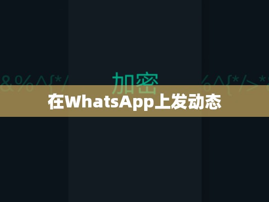 在WhatsApp上发动态