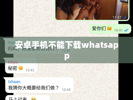 安卓手机不能下载whatsapp