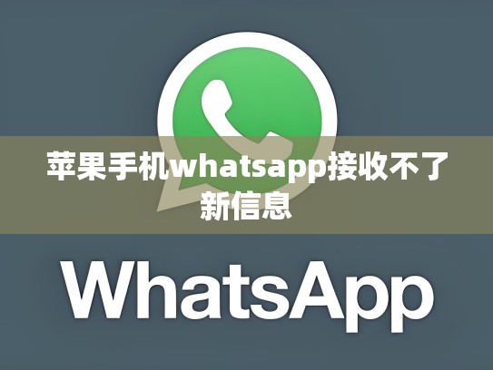 苹果手机whatsapp接收不了新信息