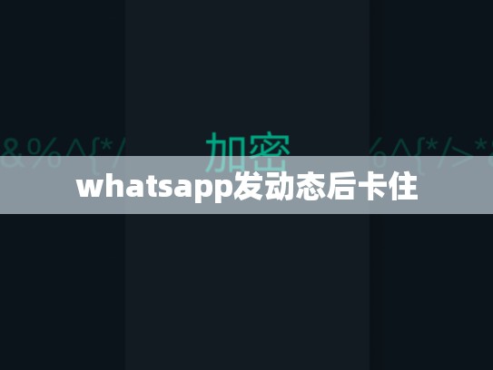 whatsapp发动态后卡住