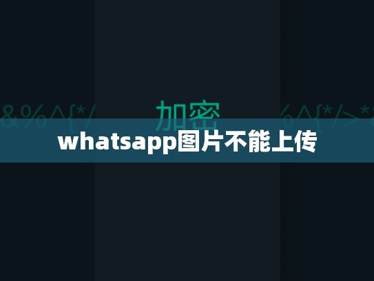 whatsapp图片不能上传