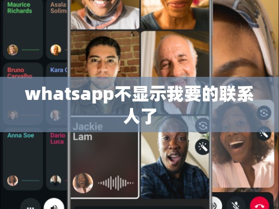 whatsapp不显示我要的联系人了