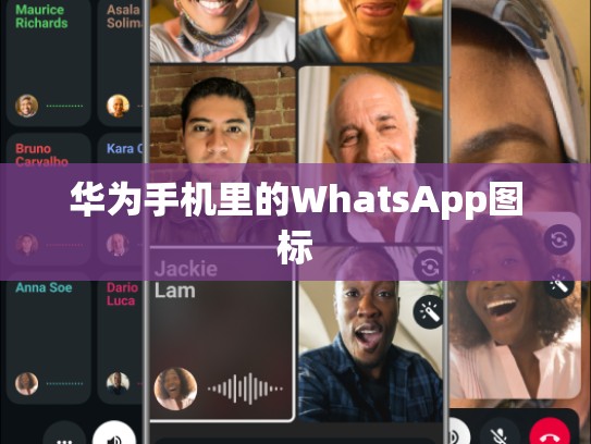 华为手机里的WhatsApp图标