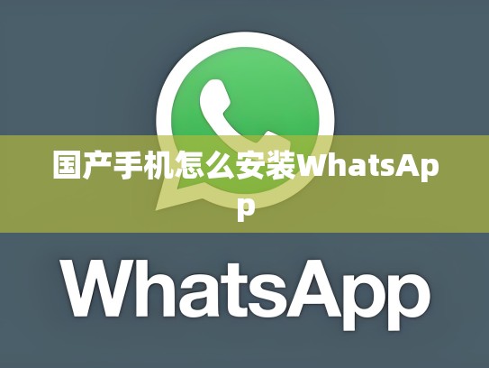 国产手机怎么安装WhatsApp