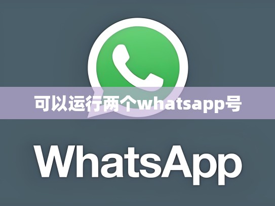 可以运行两个whatsapp号
