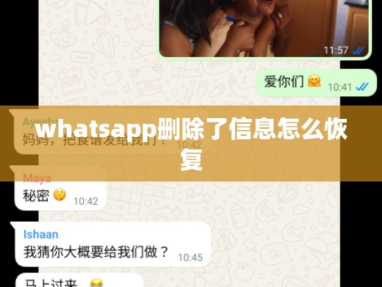 whatsapp删除了信息怎么恢复