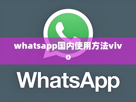 whatsapp国内使用方法vivo