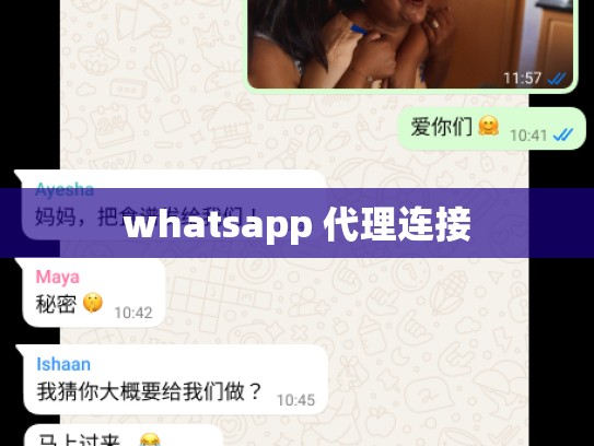 whatsapp 代理连接