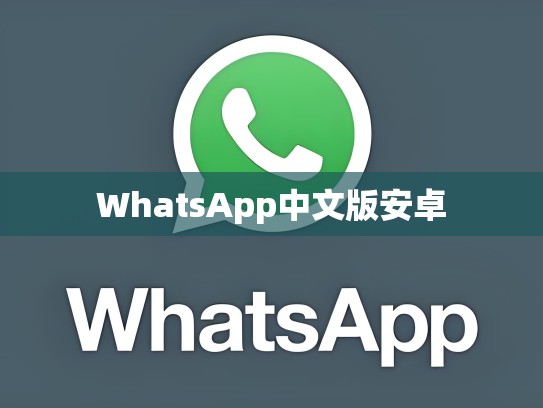 WhatsApp中文版安卓