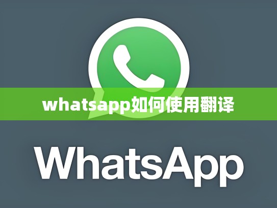 whatsapp如何使用翻译