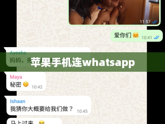 苹果手机连whatsapp