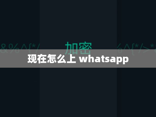 现在怎么上 whatsapp