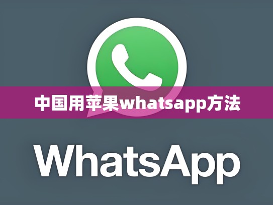 中国用苹果whatsapp方法