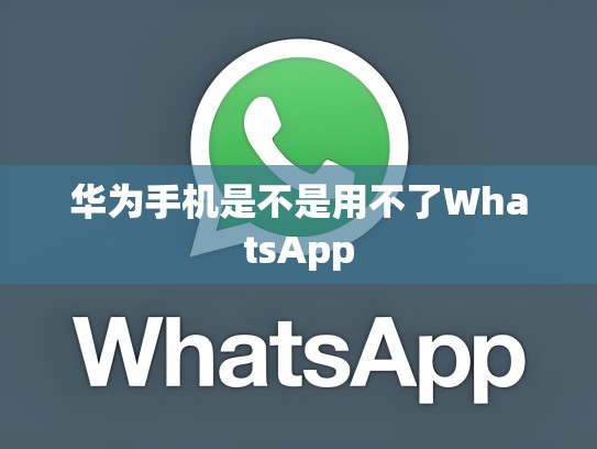 华为手机是不是用不了WhatsApp
