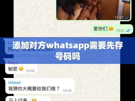添加对方whatsapp需要先存号码吗