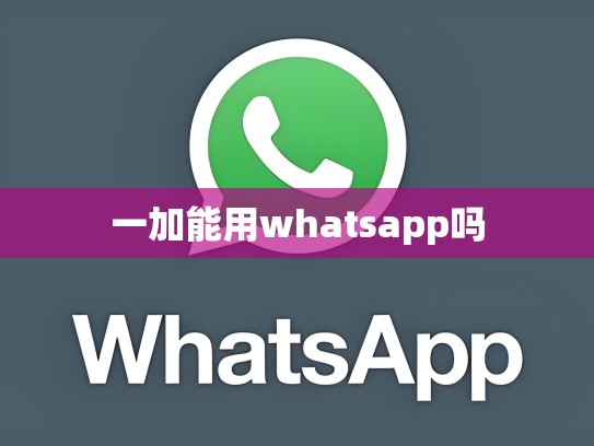 一加能用whatsapp吗