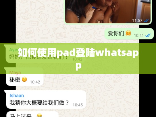 如何使用pad登陆whatsapp